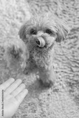 preview bw