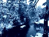 preview cold