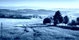 preview cold
