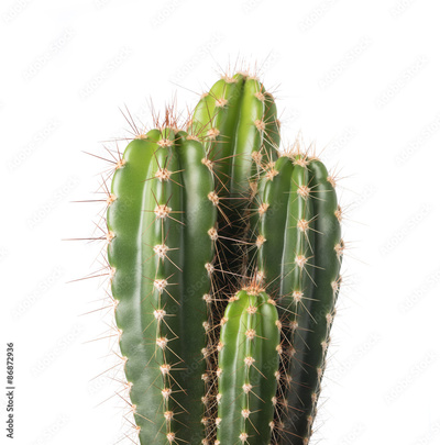 image to crop