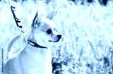 preview cold