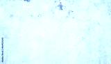 preview cold