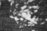 preview bw