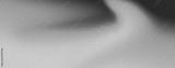 preview bw