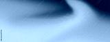 preview cold