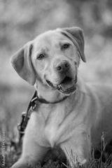 preview bw