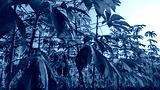 preview cold