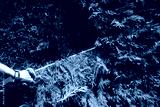 preview cold