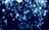 preview cold