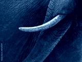 preview cold