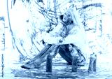preview cold