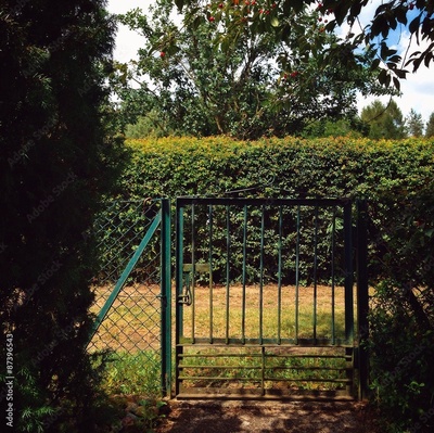 image to crop
