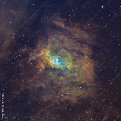 image to crop