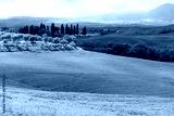preview cold