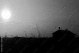 preview bw