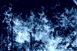 preview cold