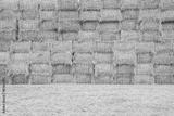 preview bw