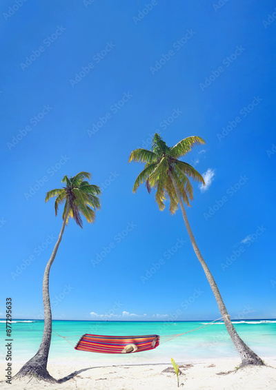 image to crop