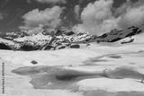 preview bw