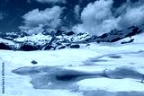 preview cold