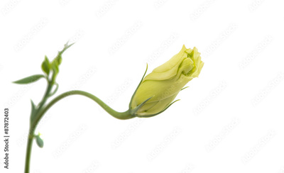 image to crop