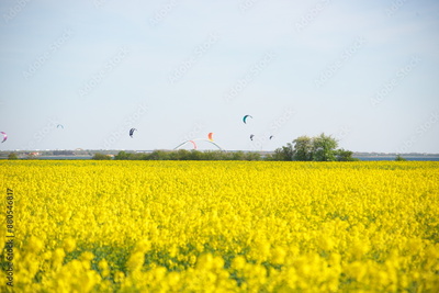 image to crop