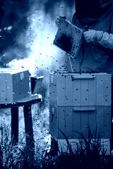 preview cold