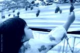 preview cold