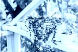 preview cold