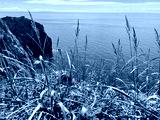 preview cold