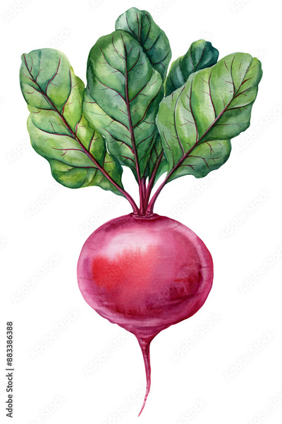 image to crop