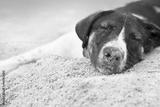 preview bw
