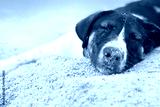 preview cold