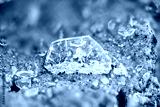 preview cold