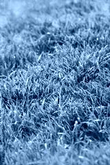 preview cold