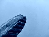 preview cold