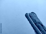 preview cold