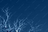preview cold