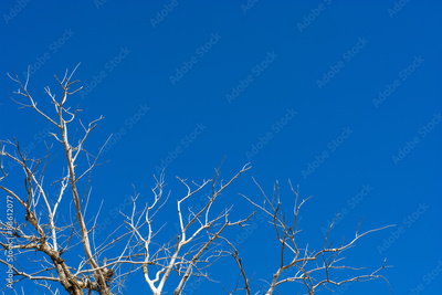image to crop