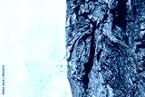 preview cold