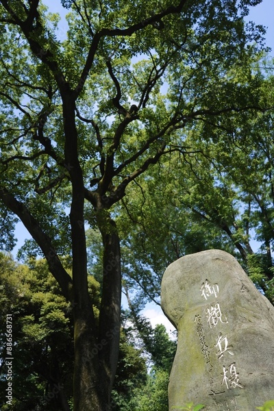 image to crop