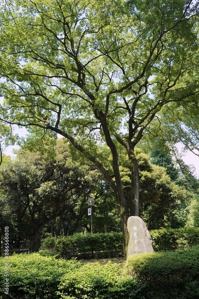 image to crop