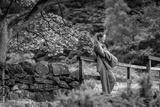 preview bw