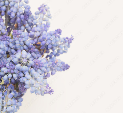 image to crop