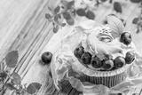 preview bw