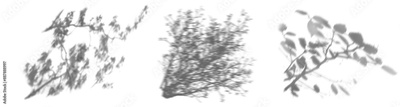 image to crop