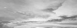 preview bw
