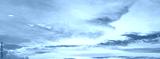 preview cold