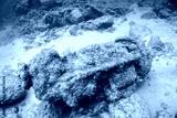 preview cold