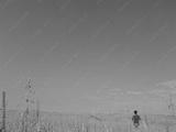 preview bw